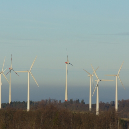 28 D HES VB Wald DSC07355 2 nachher.jpg